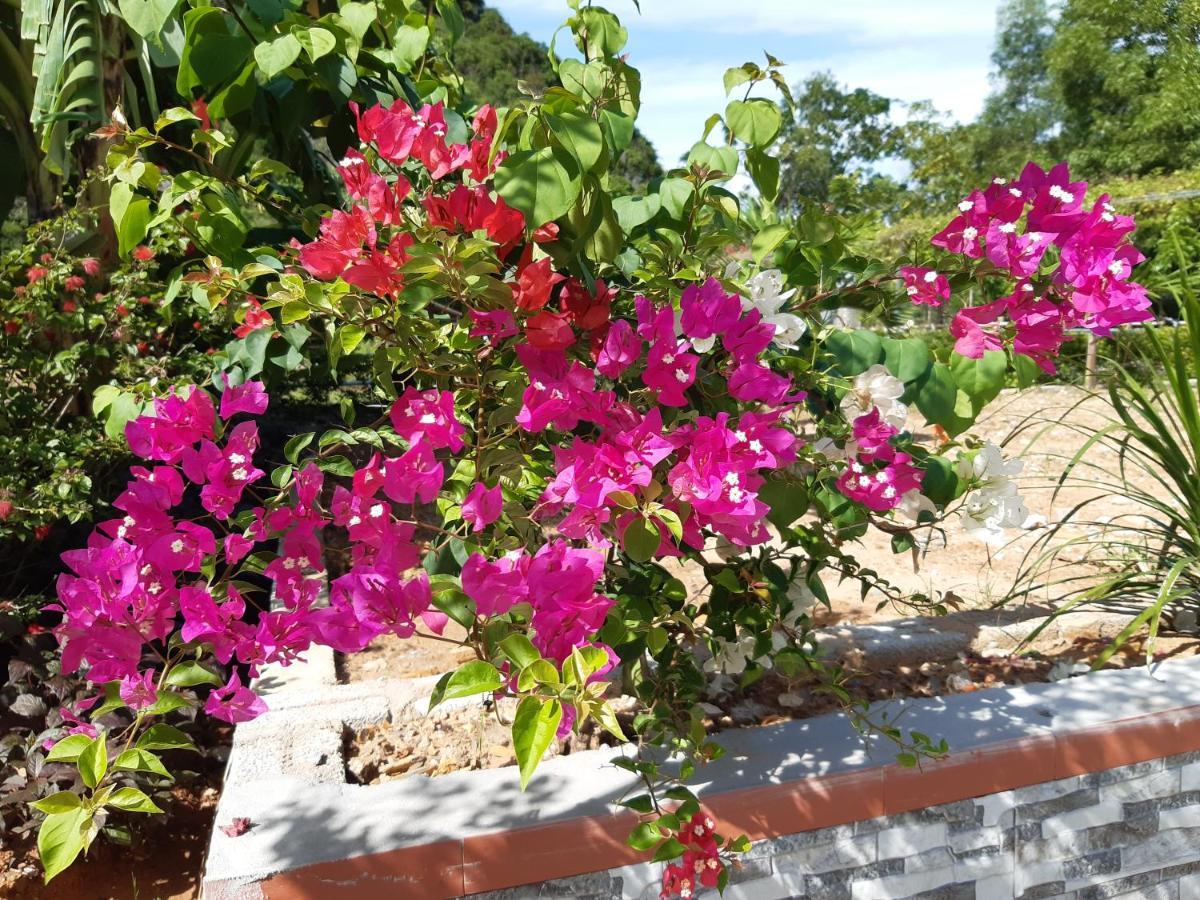 Phong Nha Bolero Bungalow Exterior foto
