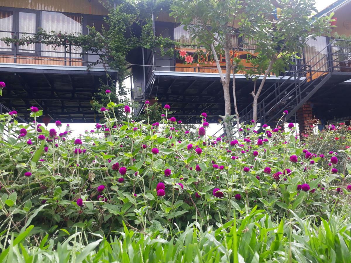 Phong Nha Bolero Bungalow Exterior foto